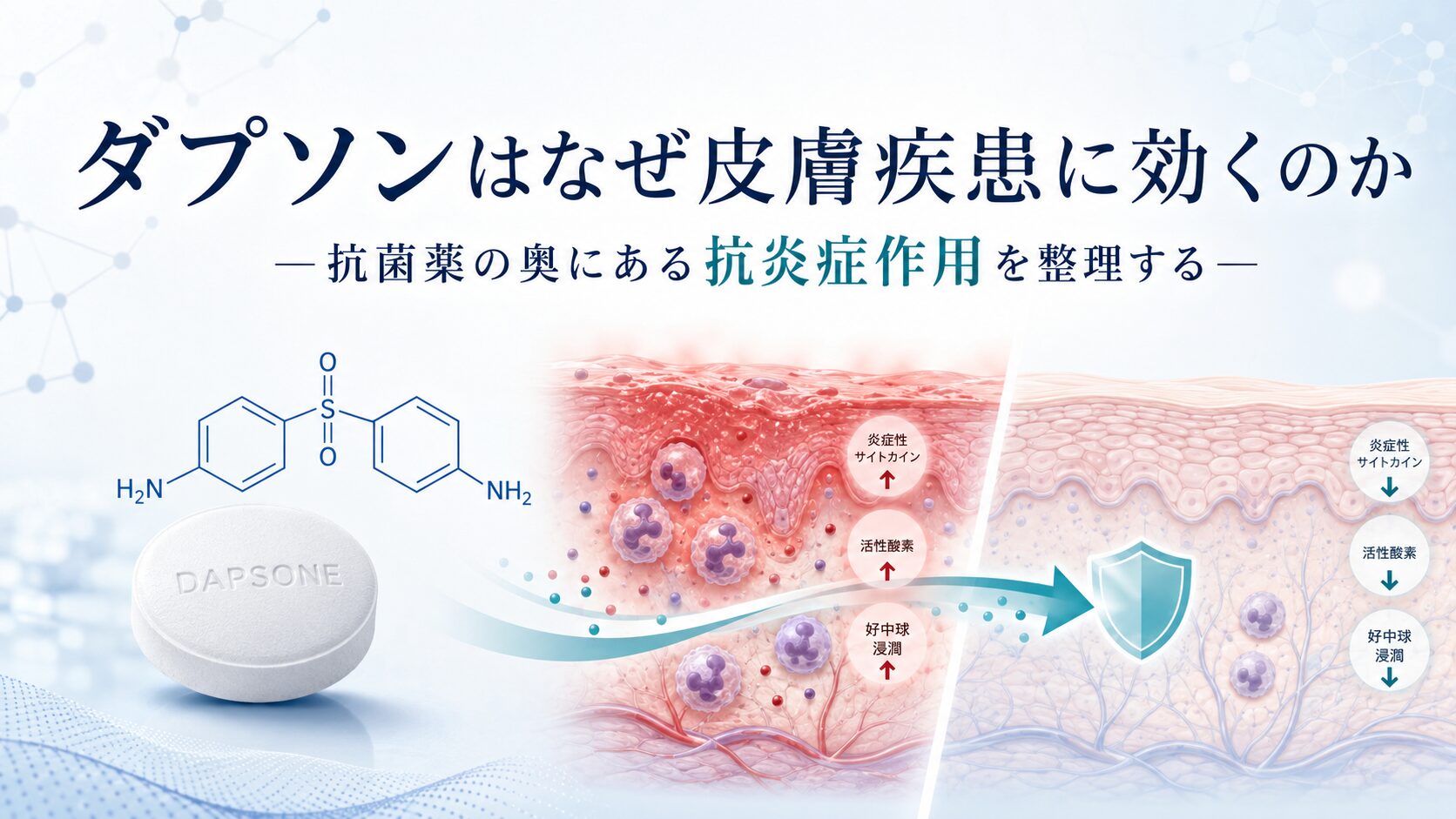 ダプソンはなぜ皮膚疾患に効くのか―抗菌薬の奥にある抗炎症作用を整理する―
